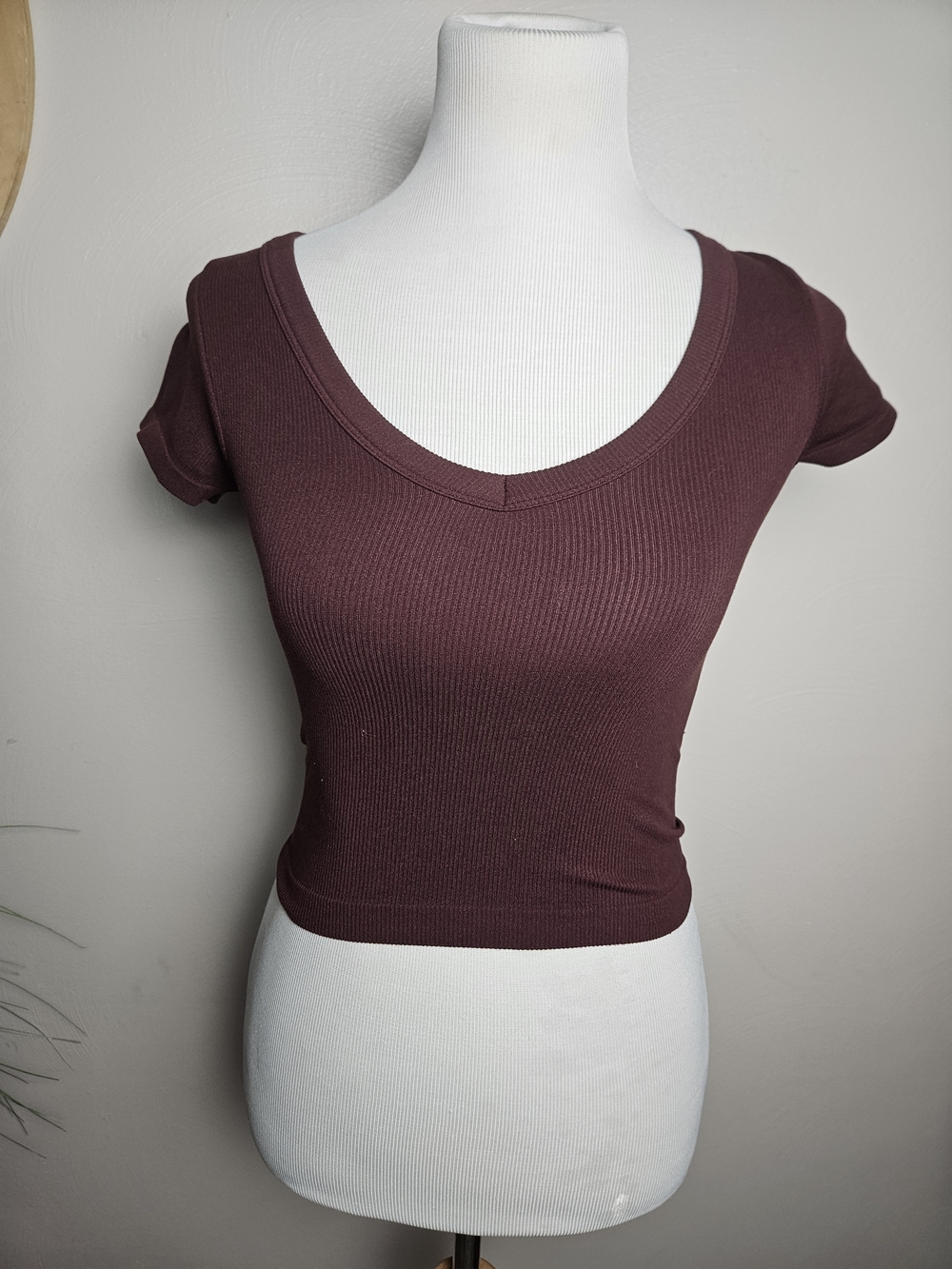 Wallflower Scoop Neck Ribbed Short Sleeve Crop Top - Burgundy